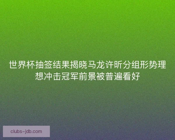 世界杯抽签结果揭晓马龙许昕分组形势理想冲击冠军前景被普遍看好 世界杯抽签结果揭晓马龙许昕分组形势理想冲击冠军前景被普遍看好
